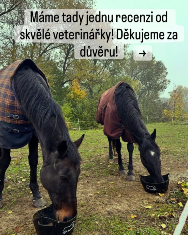 Děkujeme za spolupráci, důvěru i přátelství! 🌻